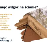 Jak pozbyć się wilgoci ze ścian? Obraz pokazuje pleśń na ścianie, która powstaje przez kondensację.