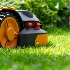 Robot koszący z pomarańczowymi kołami porusza się po soczystej trawie, pokazując, jak działa robot koszący.