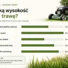 Poradnik koszenia trawy: na jaką wysokość kosić trawę w zależności od pory roku i pogody? Od 3 do 7 cm.
