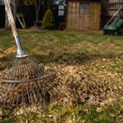 Grabie leżą na stercie suchych liści i trawy, gotowe do pracy. Czas na wiosenne porządki i pytanie: kiedy wygrabić trawnik po zimie?