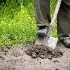 Przekopanie trawnika to ciężka praca. Łopata wbita w ziemię, obok kępa świeżo wykopanej gleby.