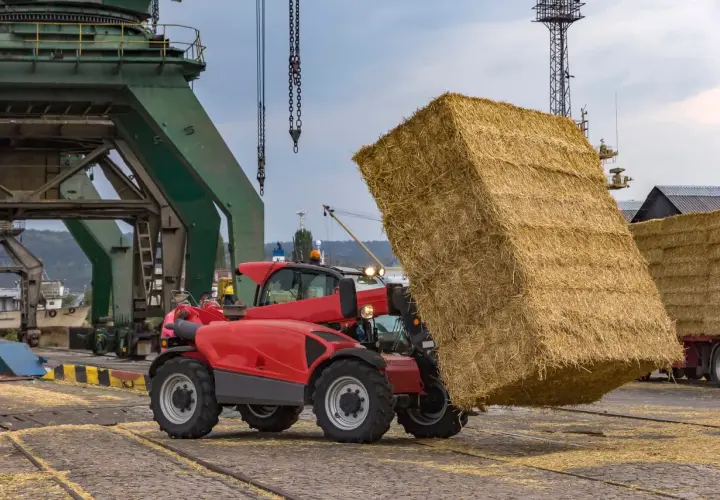 Operator ładowarki teleskopowej zręcznie manewruje, podnosząc ogromną kostkę słomy.