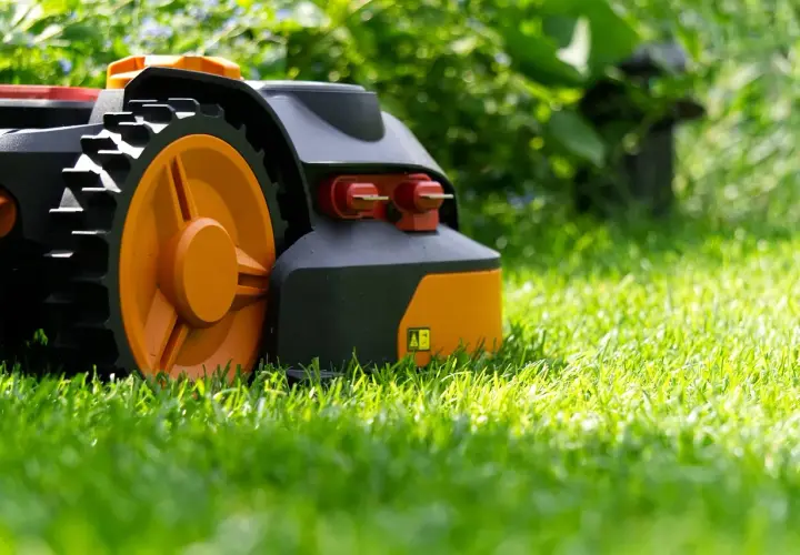 Robot koszący z pomarańczowymi kołami porusza się po soczystej trawie, pokazując, jak działa robot koszący.
