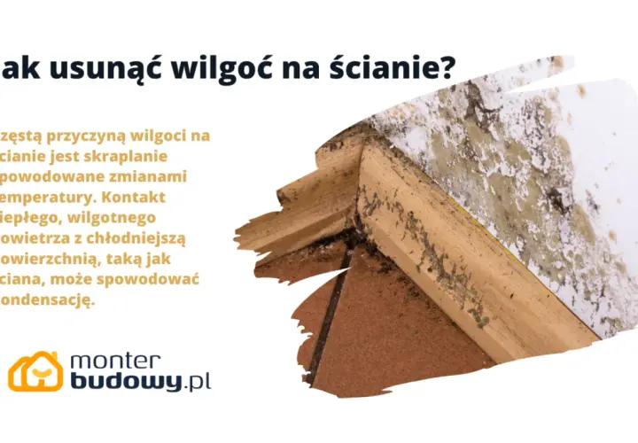 Jak pozbyć się wilgoci ze ścian? Obraz pokazuje pleśń na ścianie, która powstaje przez kondensację.