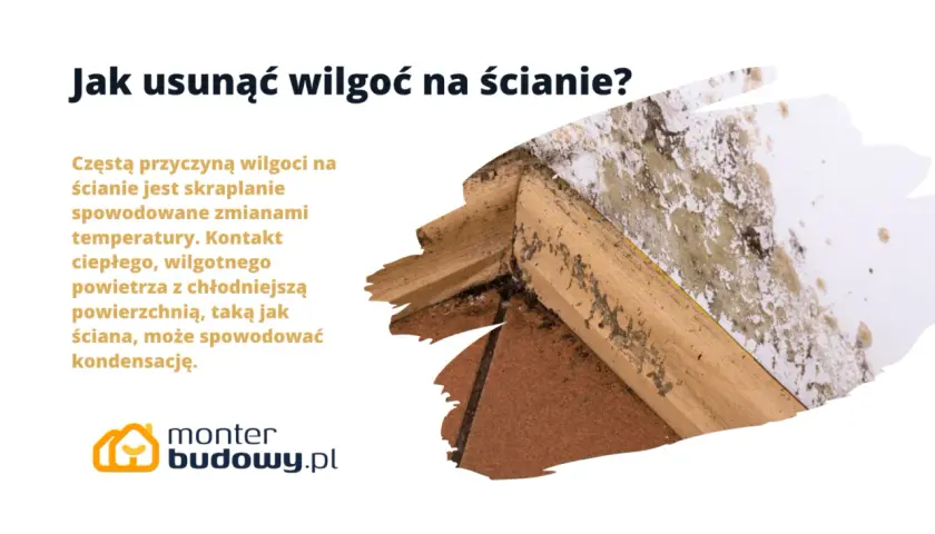 Jak pozbyć się wilgoci ze ścian? Obraz pokazuje pleśń na ścianie, która powstaje przez kondensację.