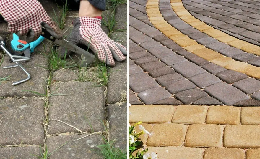 Grzyb na kostce brukowej - Jak usunąć i zapobiec powrotom?