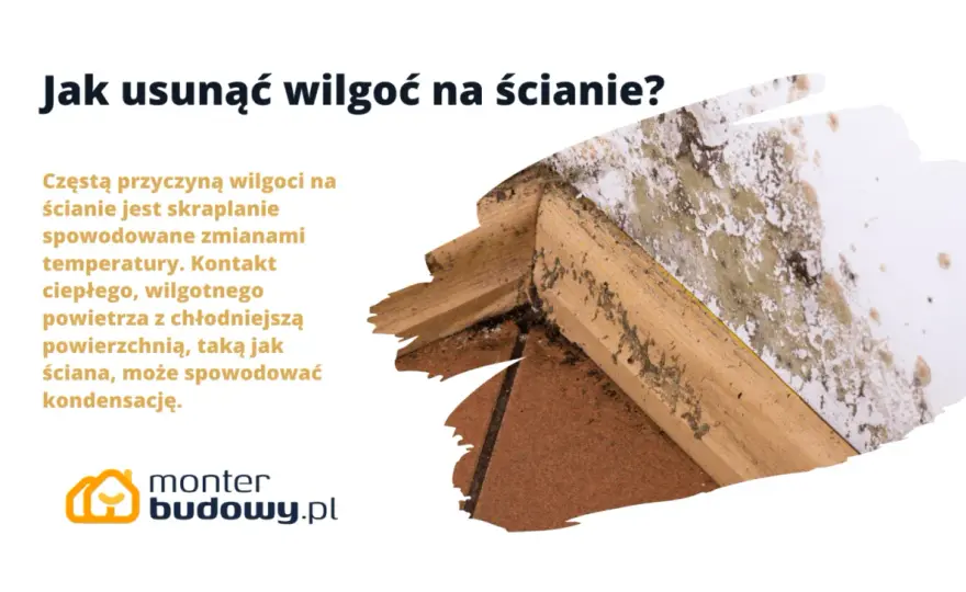 Wilgoć w ścianach - jak ją usunąć skutecznie?