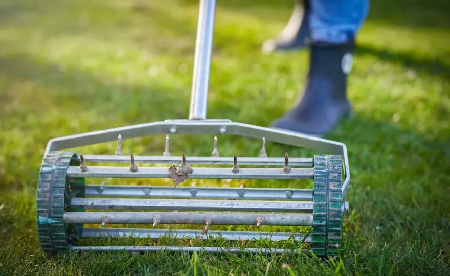 Aerator do trawy - jak wybrać model i napowietrzyć murawę?