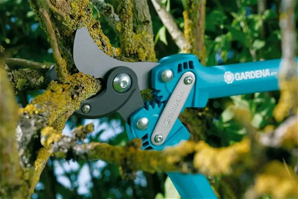 Sekator Gardena do grubych gałęzi, z ząbkowanym mechanizmem, gotowy do cięcia omszałych konarów.