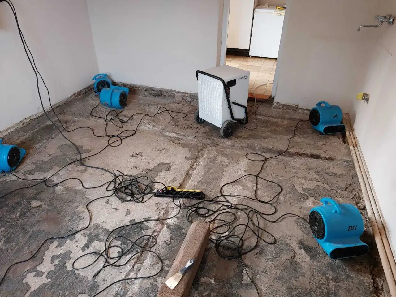 Intensywne osuszanie po zalaniu: kilka niebieskich dmuchaw i biały osuszacz powietrza pracują na zniszczonej podłodze, otoczone plątaniną kabli.